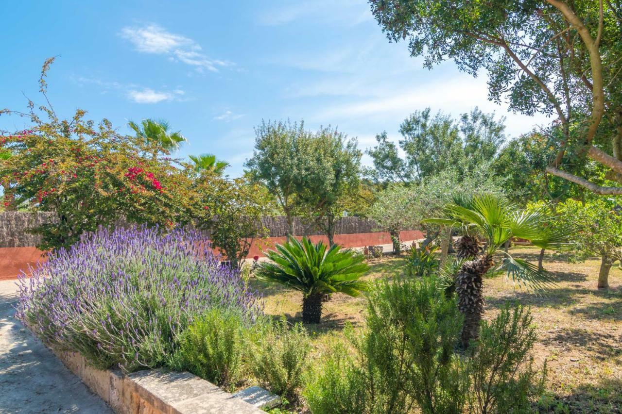 Can Calafat